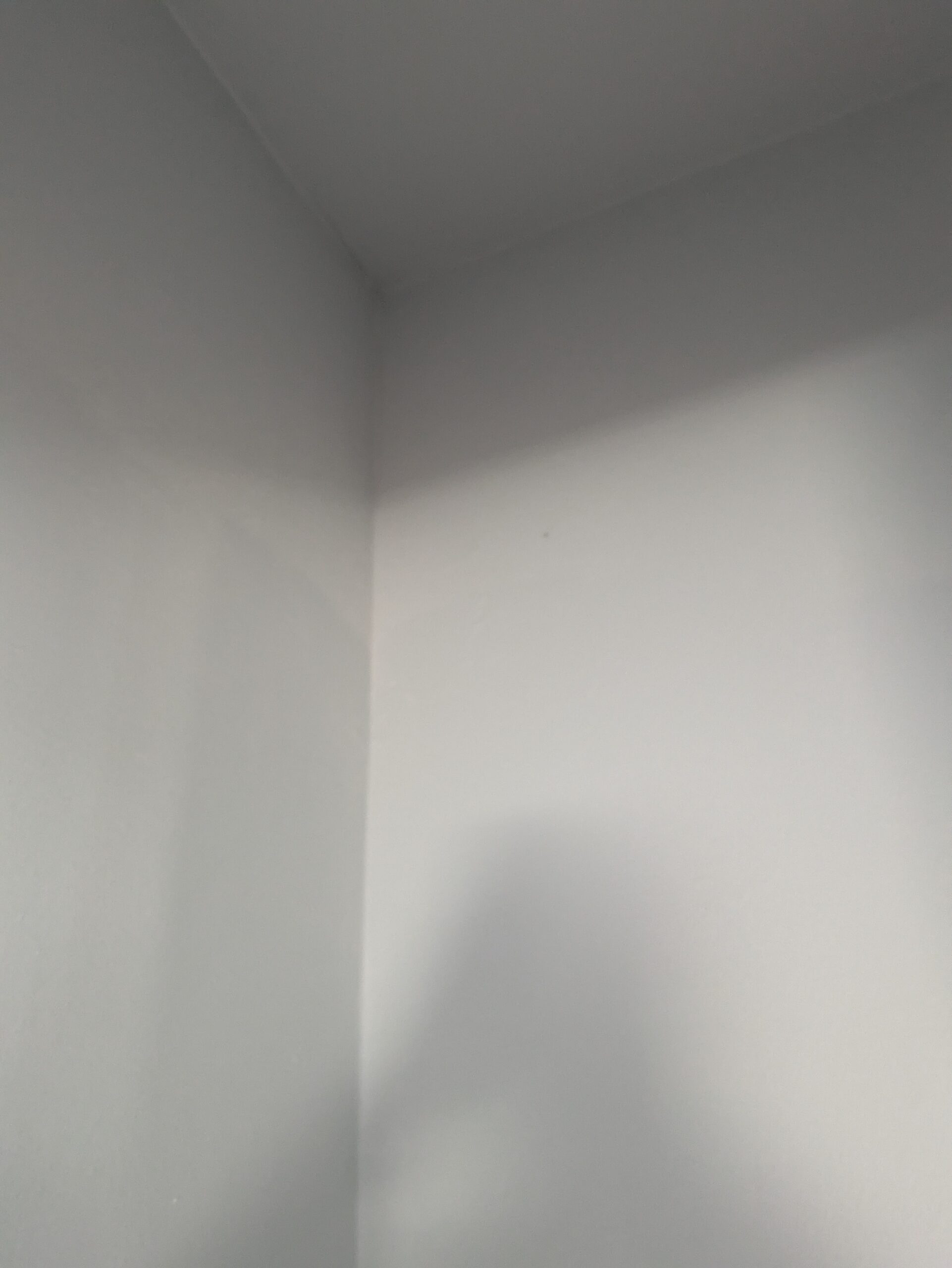 wall