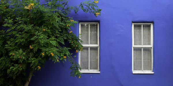 Freshly painted blue exterior wall on a San Antonio home