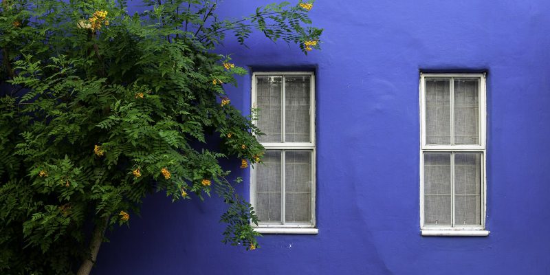 Freshly painted blue exterior wall on a San Antonio home