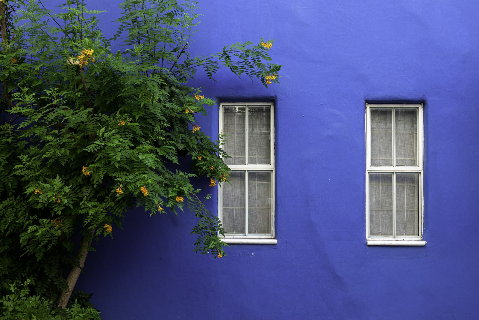 Exterior Paint Curb Appeal San Antonio Feature Freshly painted blue exterior wall on a San Antonio home