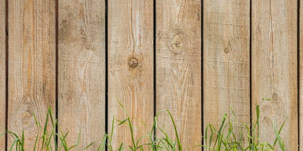 Wooden privacy fence in a San Antonio backyard
