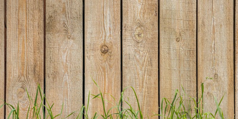 Wooden privacy fence in a San Antonio backyard